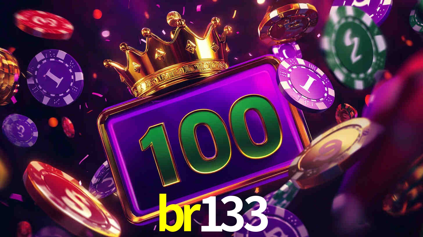 br133 App Interface